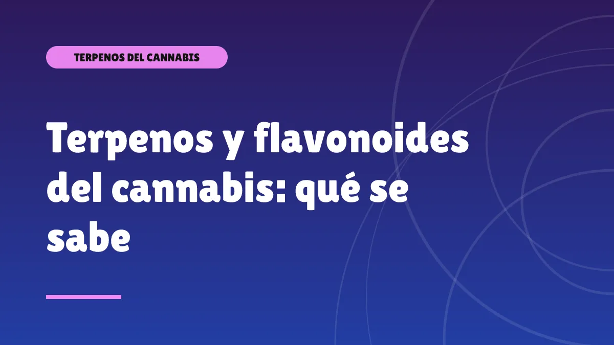 Terpenos y flavonoides del cannabis: qué se sabe